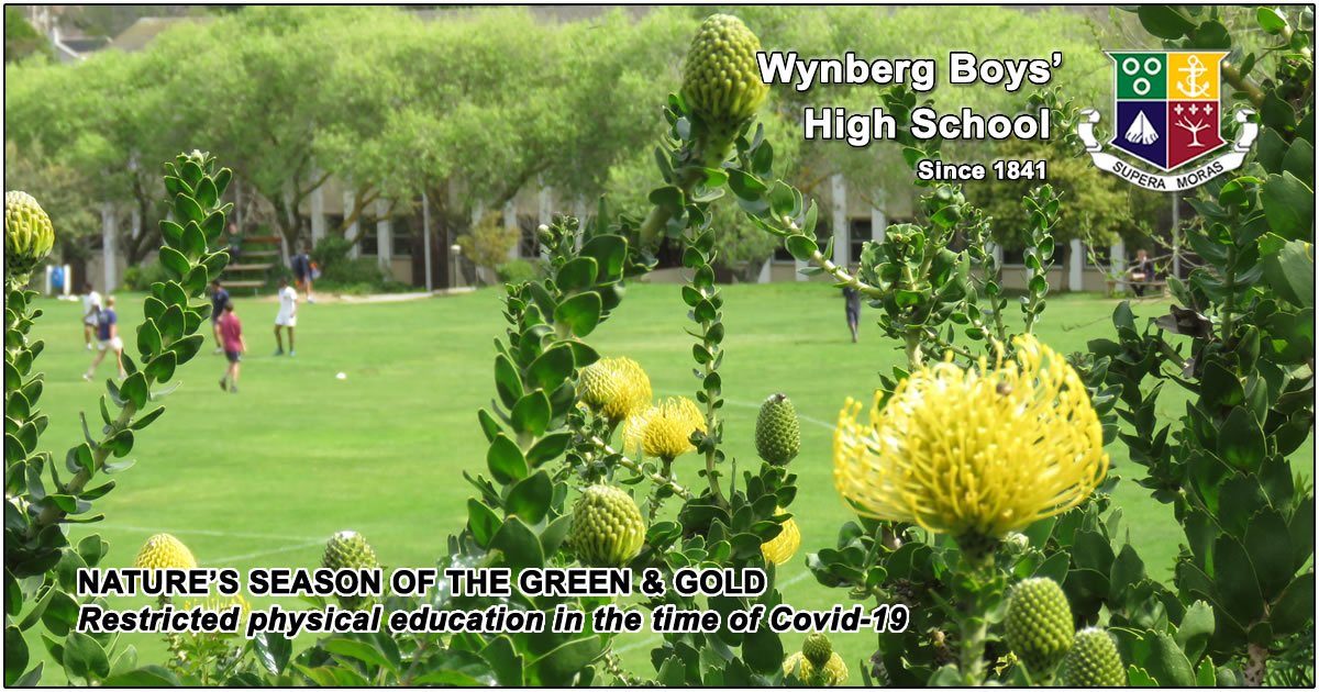 WBHS-GreenGold-2020